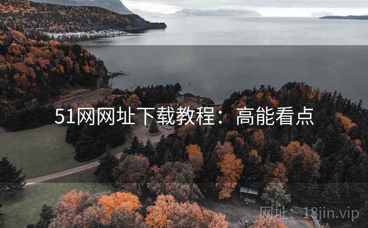51网网址下载教程：高能看点
