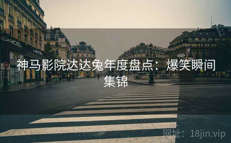 神马影院达达兔年度盘点：爆笑瞬间集锦