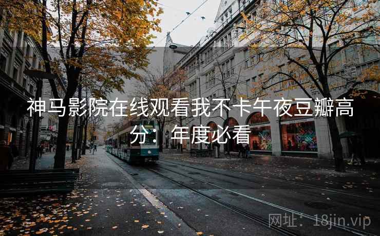 神马影院在线观看我不卡午夜豆瓣高分：年度必看